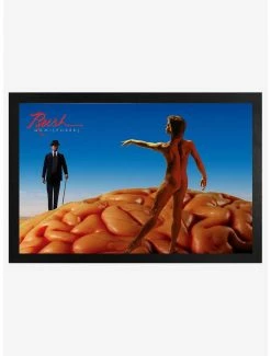 Cheapest 🧨 Rush Hemispheres Framed Wood Wall Art ✔️